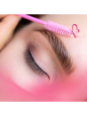 Brow Lift : Rehaussement de sourcils + Teinture